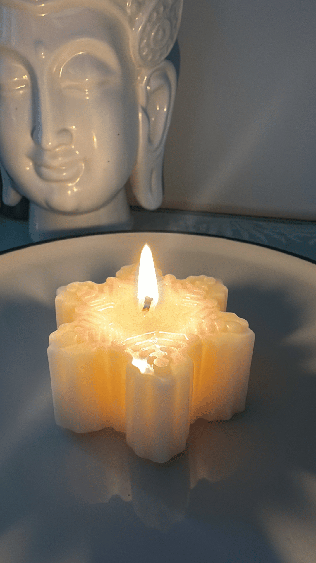 Red Berry and Holly Snowflake Scented candles | Christmas Scented candle |Soy wax candle