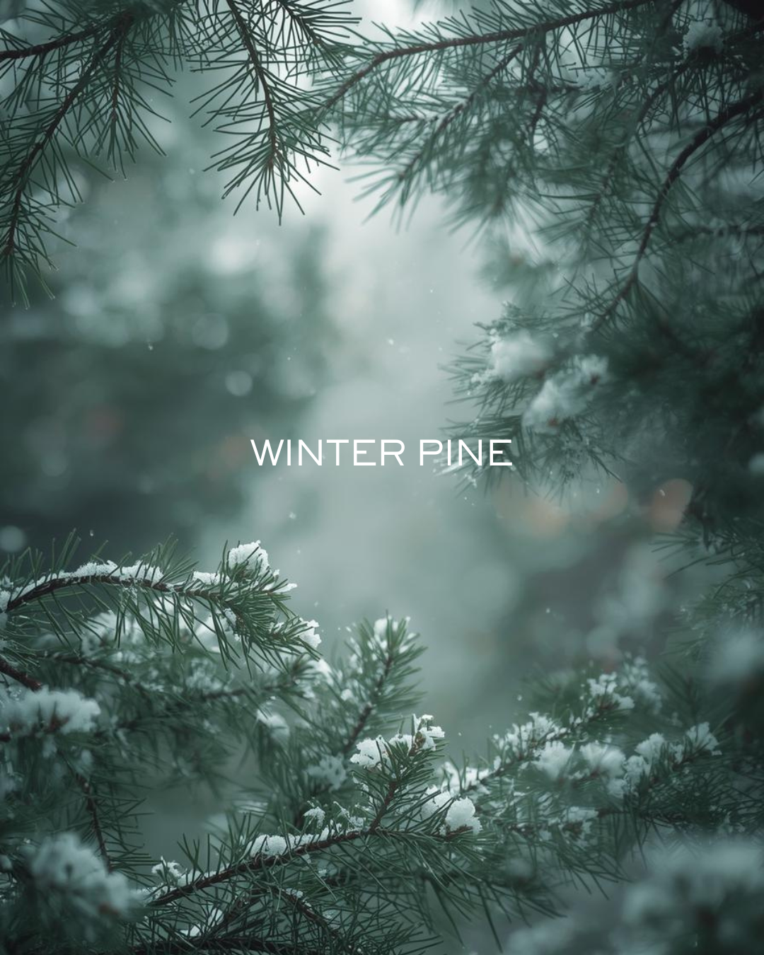 Winter Pine Christmas Minimalist Scented Candles  | Winter Pine – 1 of Seven