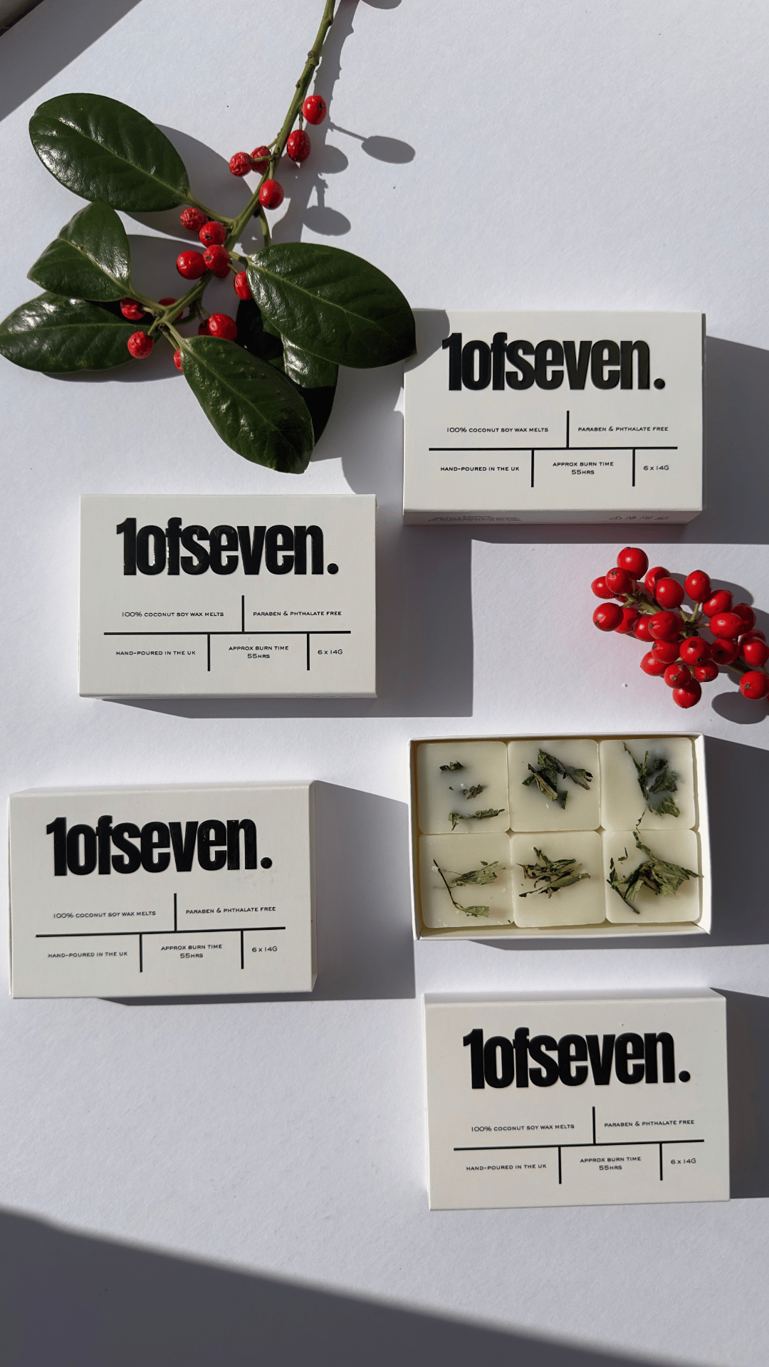 6pc Red Berry and Holly Scented wax melts | Handmade Christmas Scented Coconut Soy Wax melts | Home Scents