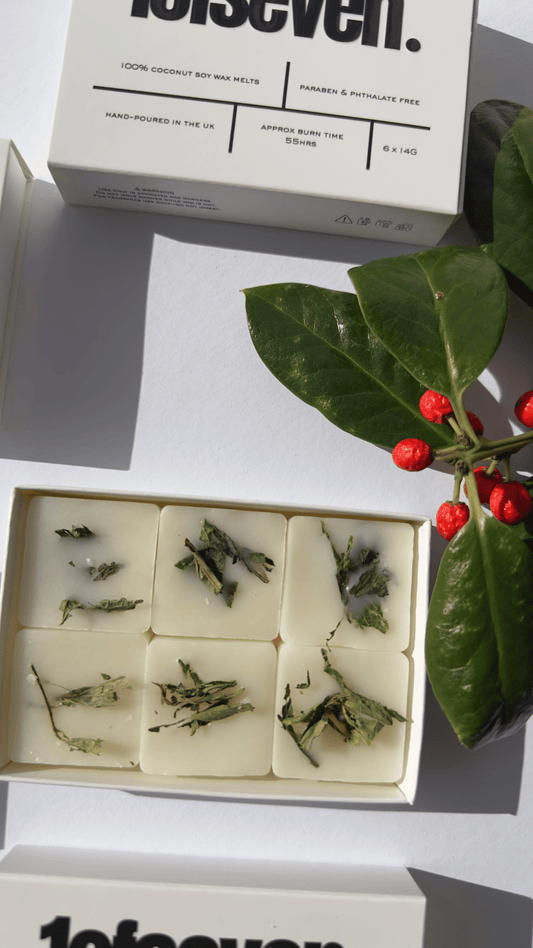 6pc Red Berry and Holly Scented wax melts | Handmade Christmas Scented Coconut Soy Wax melts | Home Scents