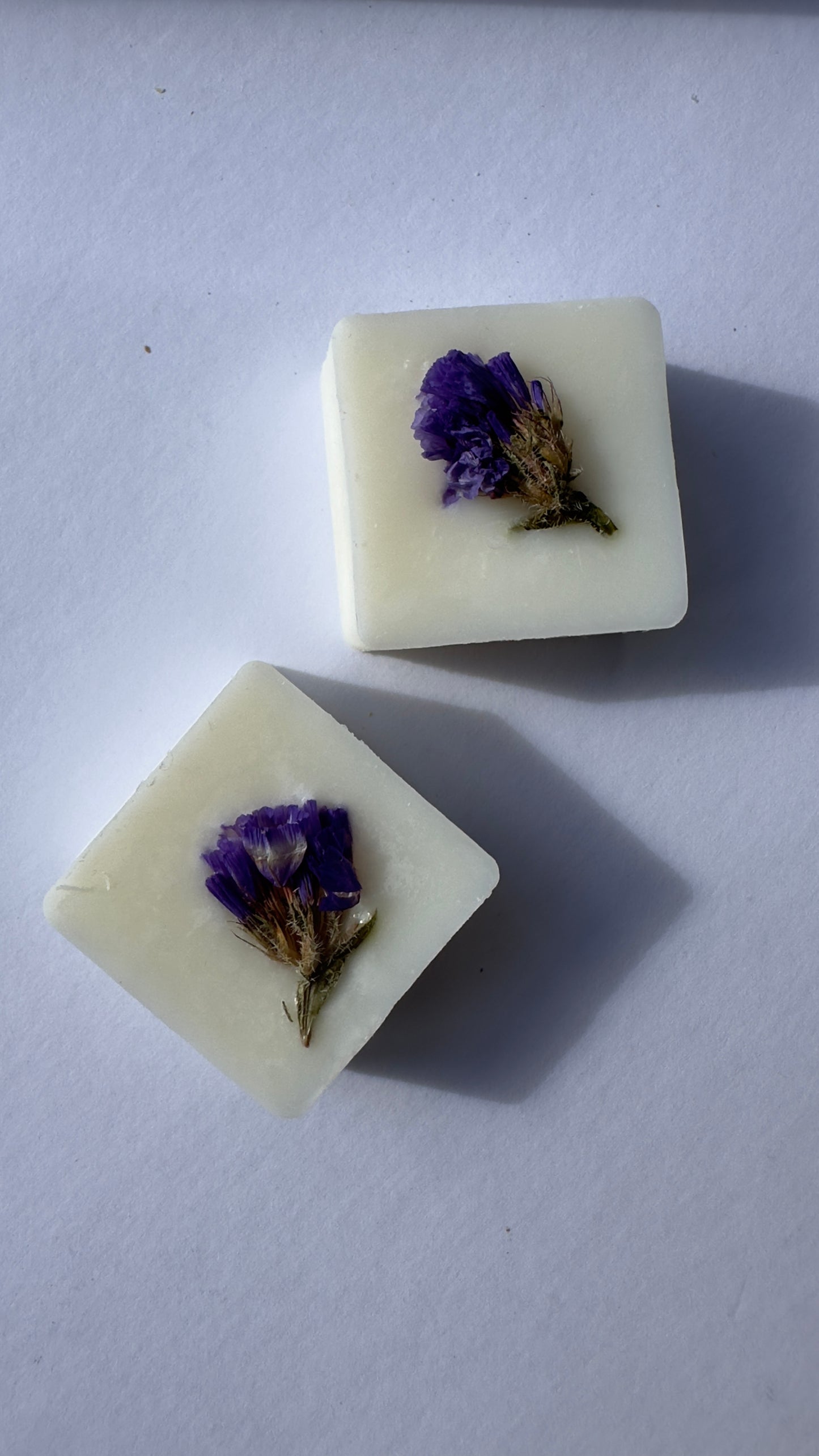 6pc Scented Coconut Soy Wax Melt Selection | Handcrafted Natural Fragrances | 1ofSeven