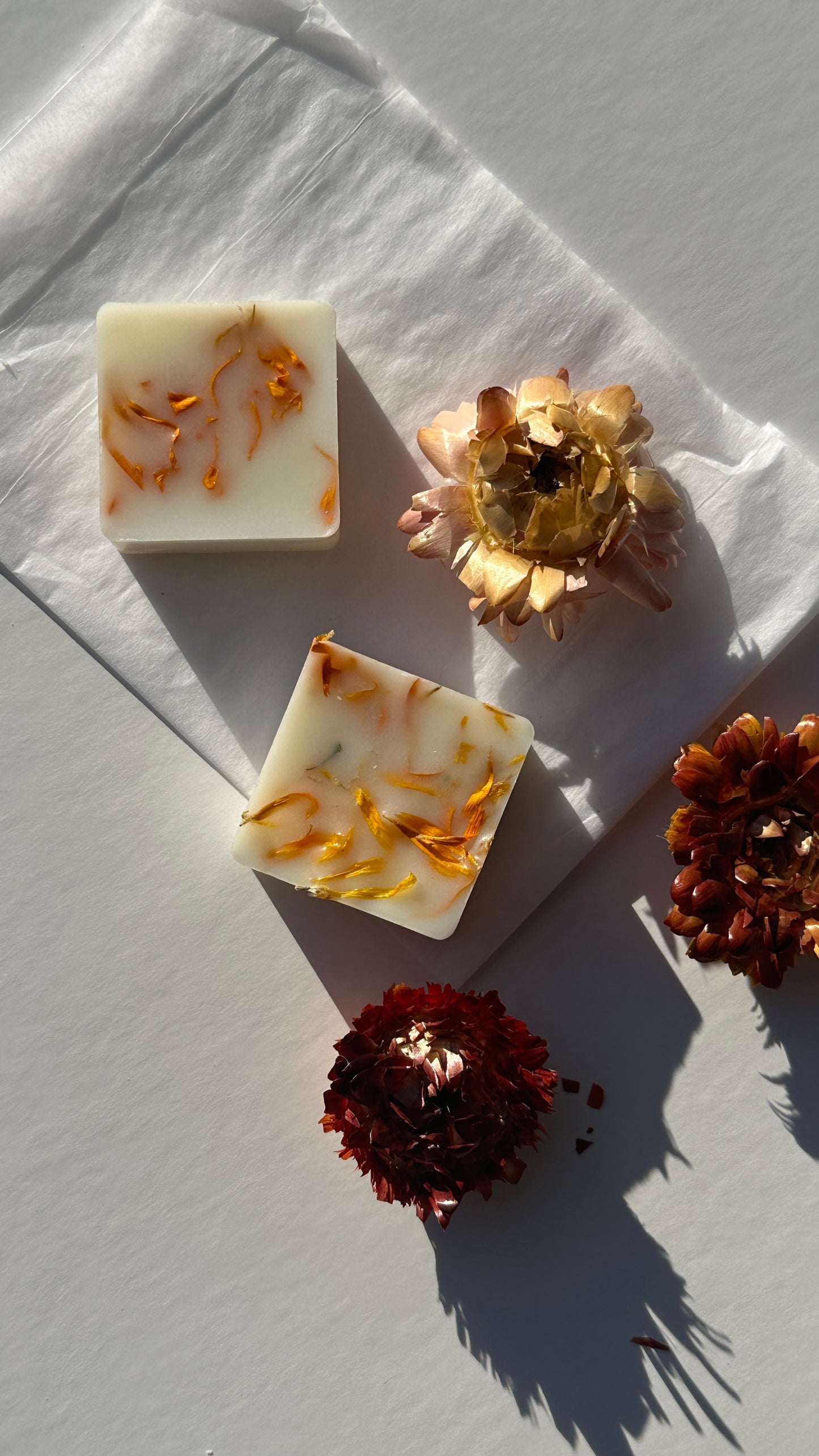 10pc Wax Melt Selection | Handcrafted Natural Fragrances | 1ofSeven